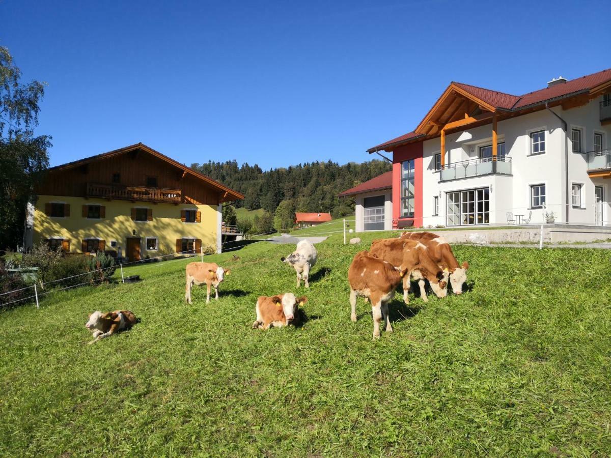 Sankt Koloman Fitzlhof 아파트 외부 사진